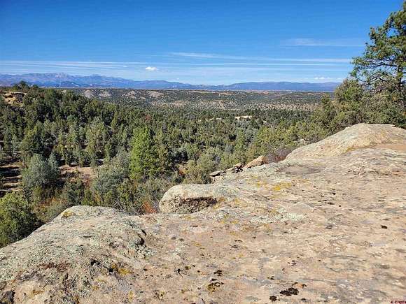 39.8 Acres of Recreational Land for Sale in Ignacio, Colorado