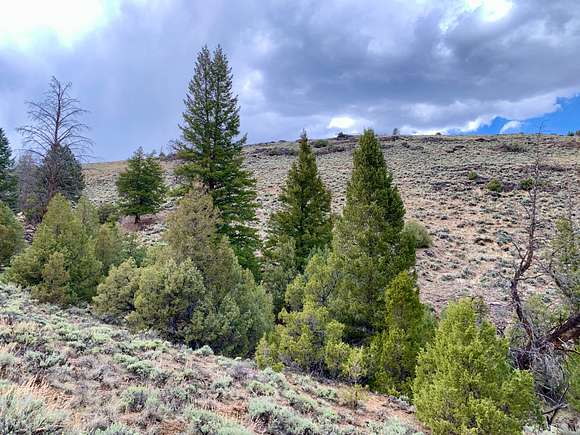 19 Acres of Land for Sale in Gunnison, Colorado