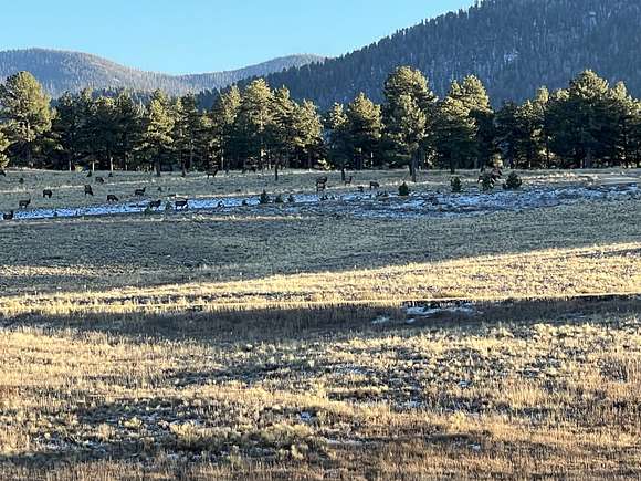 38.1 Acres of Land for Sale in Westcliffe, Colorado