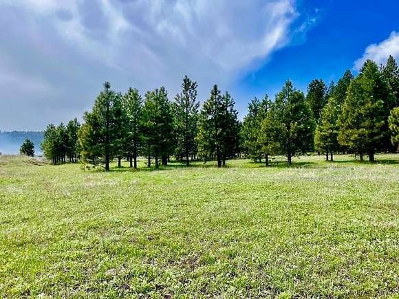 5 Acres of Agricultural Land for Sale in New Meadows, Idaho
