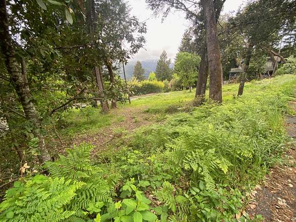 0.24 Acres of Residential Land for Sale in Willow Creek, California