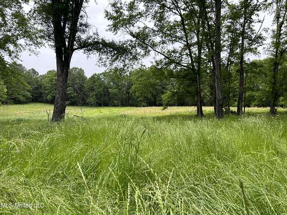 14 Acres of Recreational Land for Sale in Bolton, Mississippi