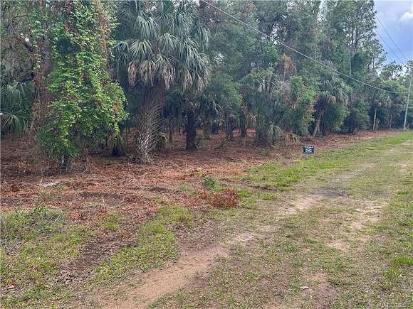 1.4 Acres of Land for Sale in Crystal River, Florida