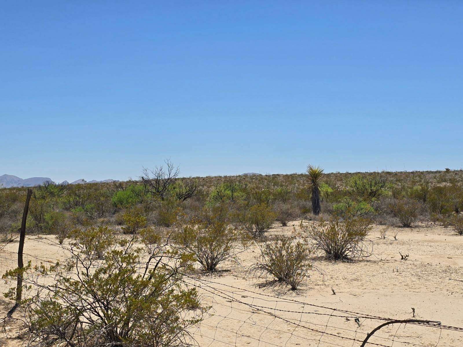 11.5 Acres of Land for Sale in Terlingua, Texas