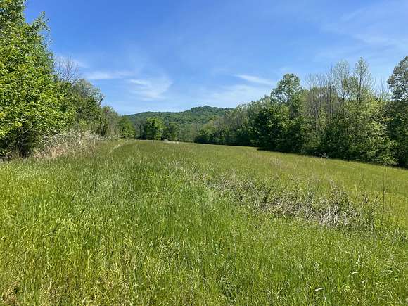 17.3 Acres of Land for Sale in Burkesville, Kentucky
