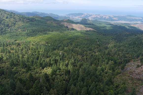 40 Acres of Recreational Land for Sale in Gold Beach, Oregon