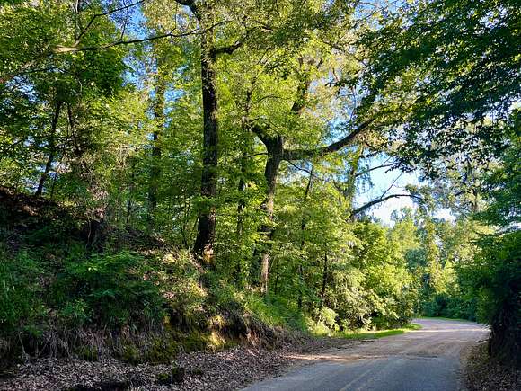 146 Acres of Recreational Land for Sale in Vicksburg, Mississippi