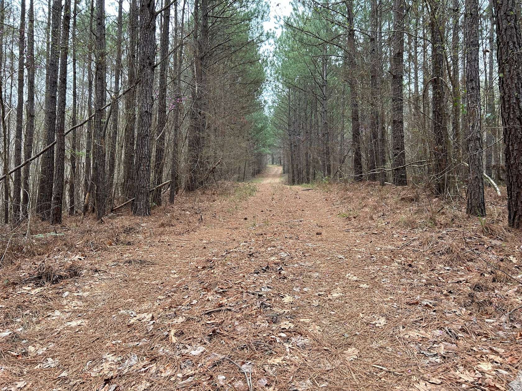 120 Acres of Recreational Land for Sale in Milledgeville, Georgia