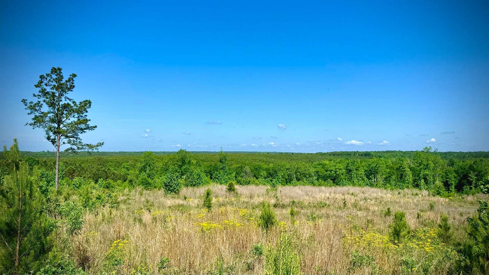 45 Acres of Recreational Land for Sale in Toomsboro, Georgia