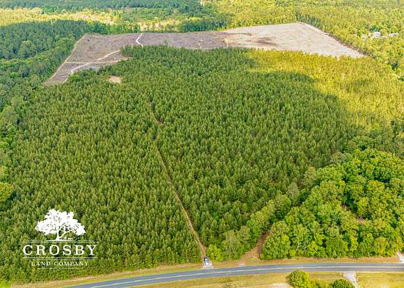 77 Acres of Recreational Land for Sale in North, South Carolina
