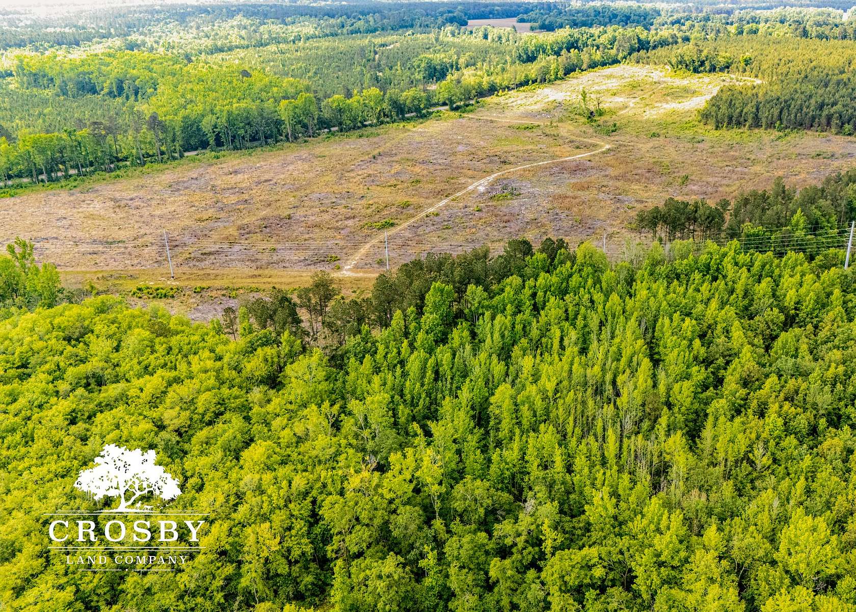 106.85 Acres of Recreational Land for Sale in North, South Carolina