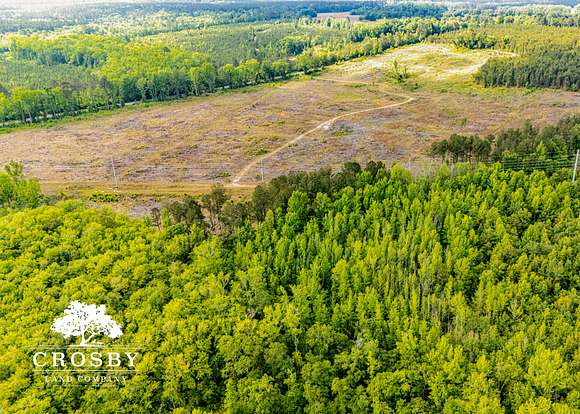 123 Acres of Recreational Land for Sale in North, South Carolina