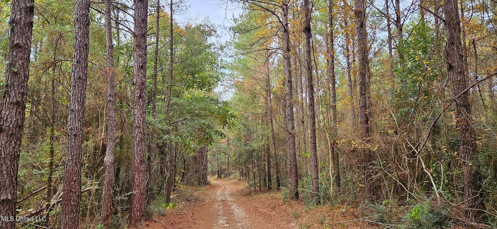 66.87 Acres of Recreational Land for Sale in Poplarville, Mississippi