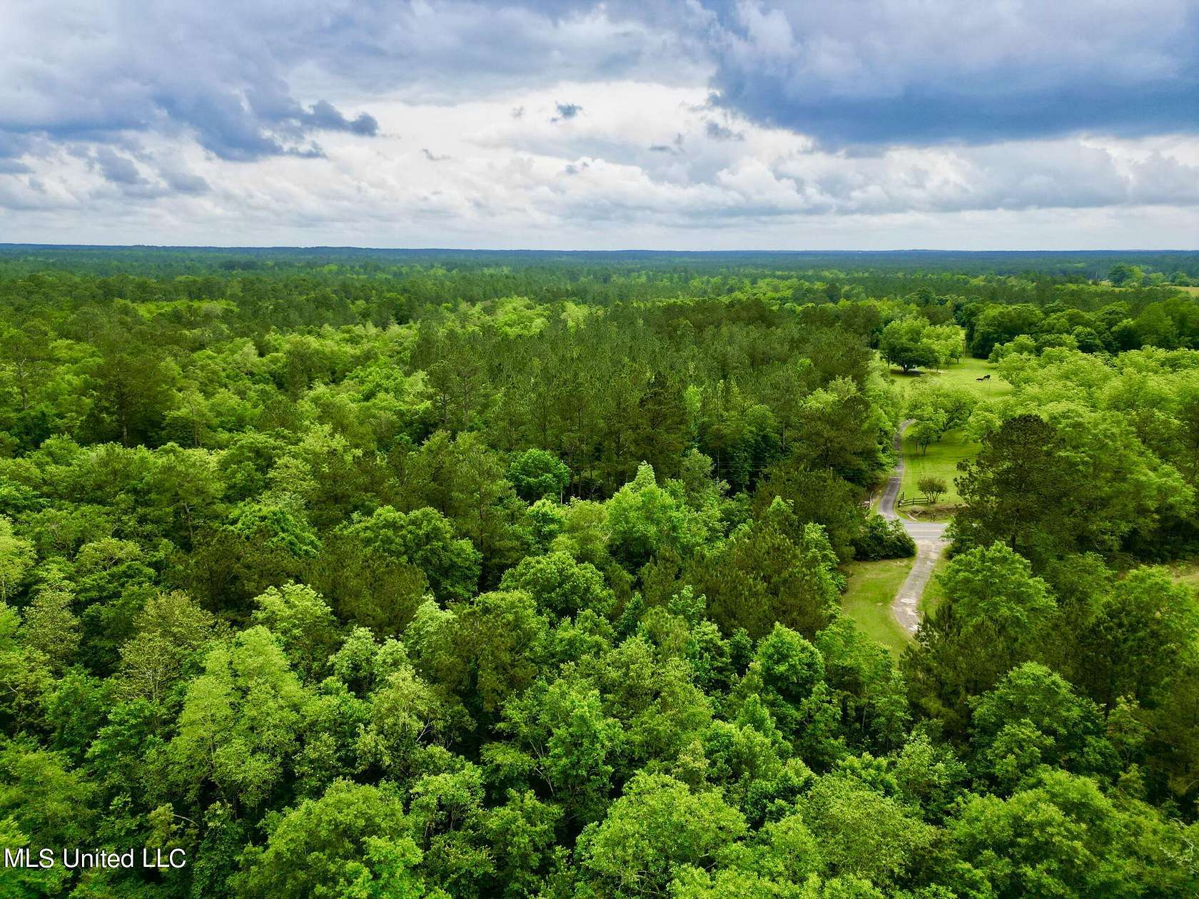 20 Acres of Recreational Land for Sale in Poplarville, Mississippi