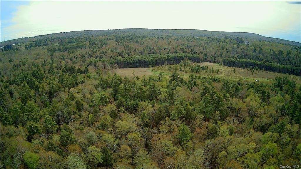 9.6 Acres of Residential Land for Sale in Thompson Town, New York