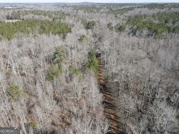 130 Acres of Land for Sale in Griffin, Georgia
