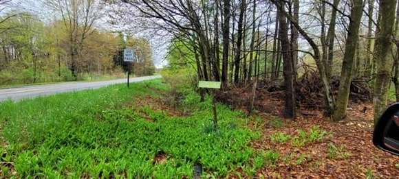 7.9 Acres of Residential Land for Sale in Whitehall, Michigan