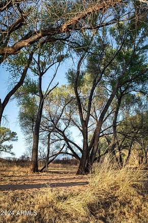 42.71 Acres of Recreational Land for Sale in Tubac, Arizona