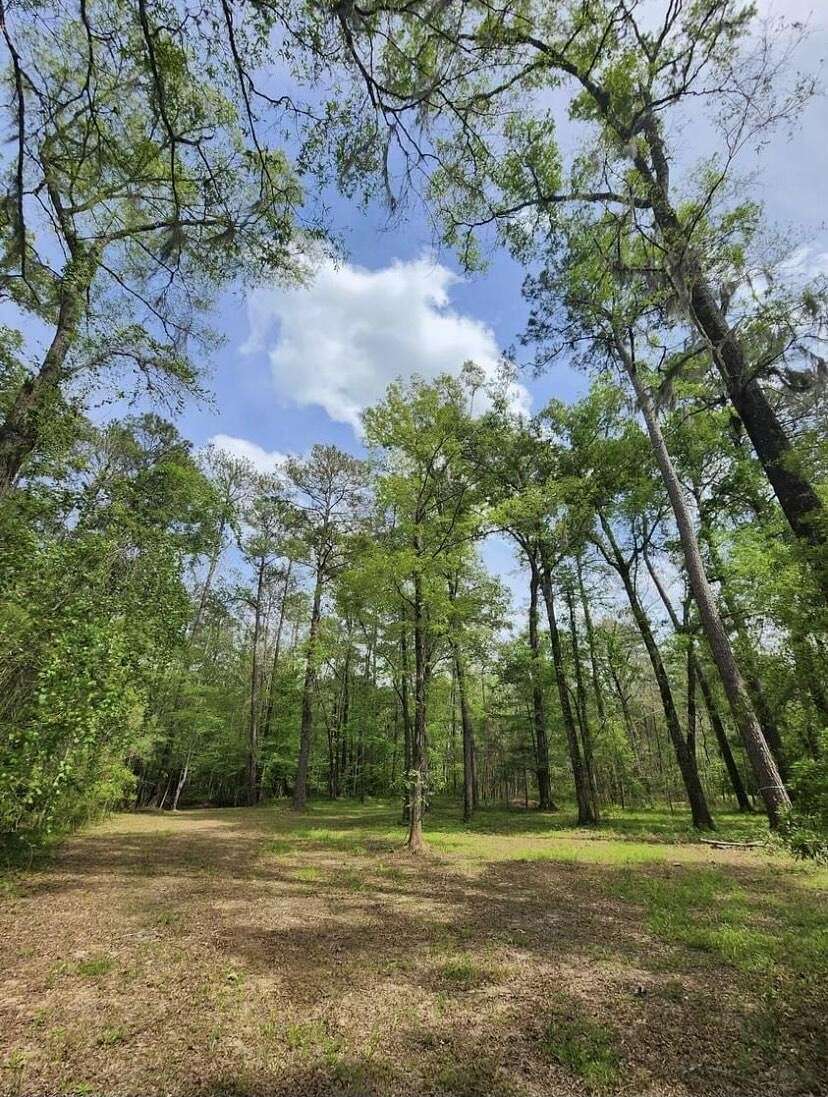 14.38 Acres of Recreational Land for Sale in Ridgeville, South Carolina