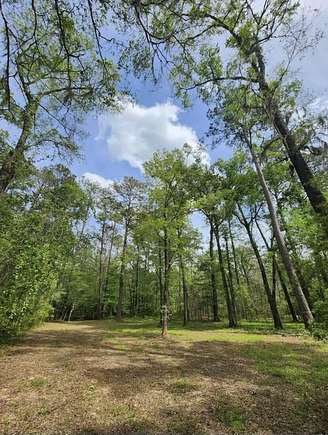 14.4 Acres of Recreational Land for Sale in Ridgeville, South Carolina