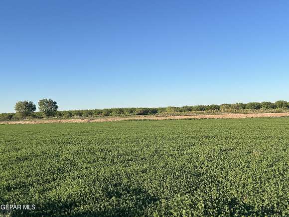12.4 Acres of Land for Sale in Fabens, Texas