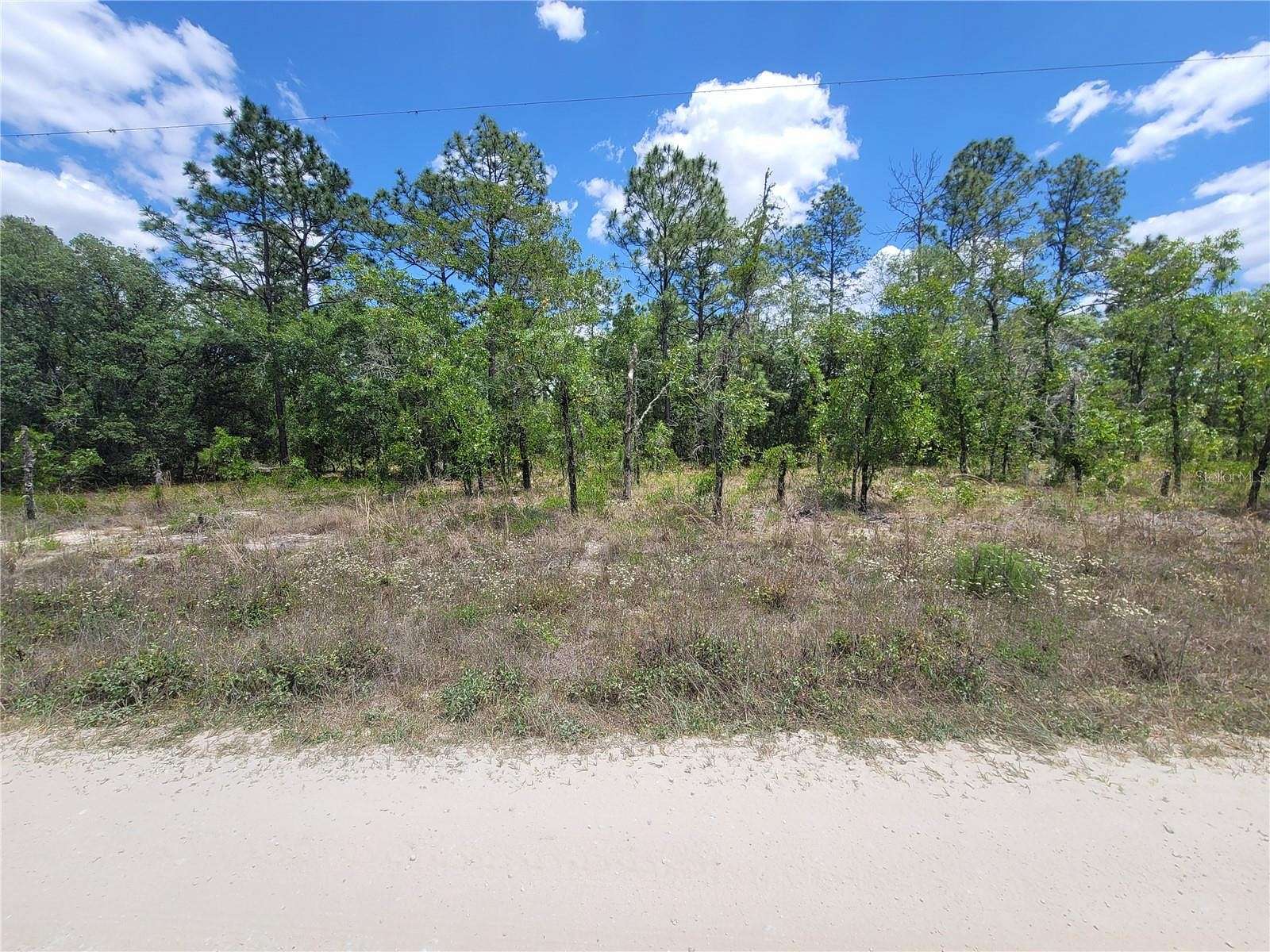 1.3 Acres of Residential Land for Sale in Dunnellon, Florida