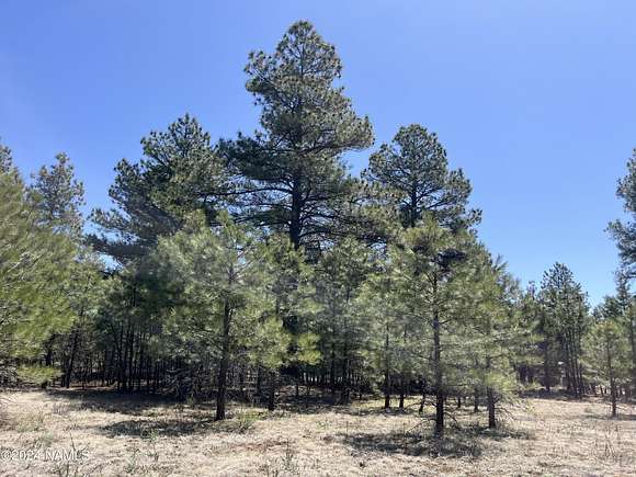 1.1 Acres of Residential Land for Sale in Parks, Arizona