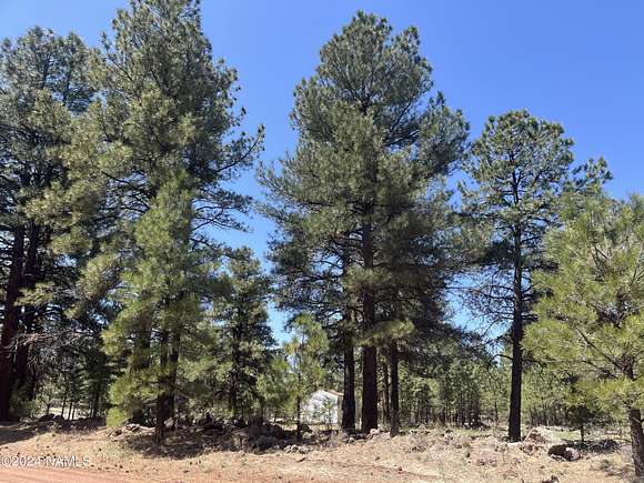 1 Acre of Residential Land for Sale in Parks, Arizona