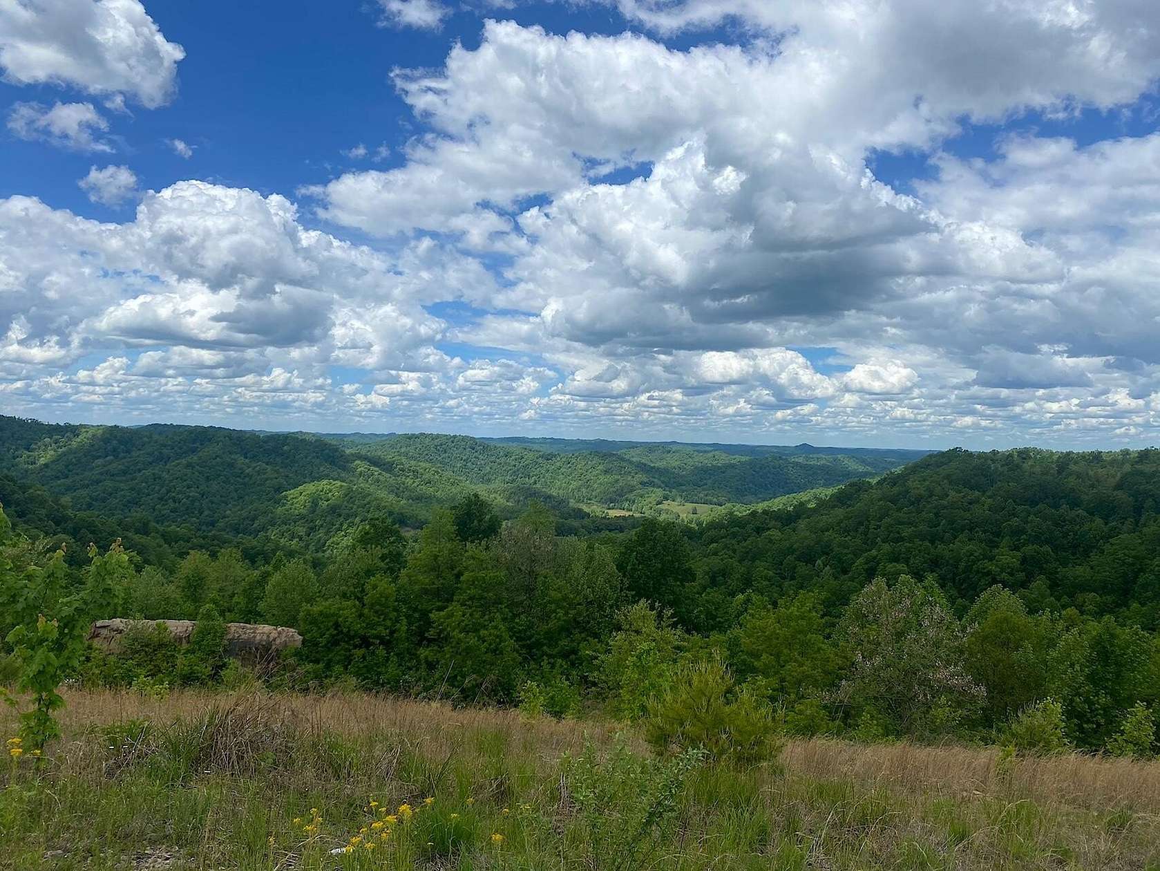 1,185 Acres of Recreational Land for Sale in Oneida, Kentucky