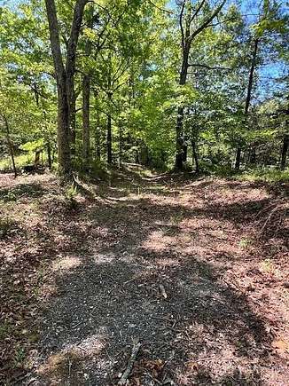 28 Acres of Recreational Land for Sale in Amherst, Virginia