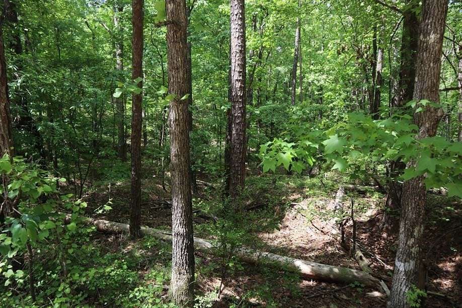 1.62 Acres of Residential Land for Sale in Sparta, Georgia