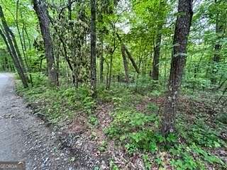 9.7 Acres of Residential Land for Sale in McCaysville, Georgia