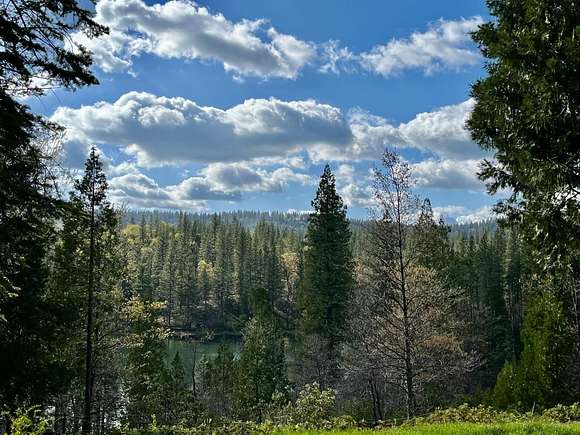 5.8 Acres of Residential Land with Home for Sale in Avery, California