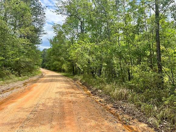 17 Acres of Land for Sale in Waynesboro, Mississippi