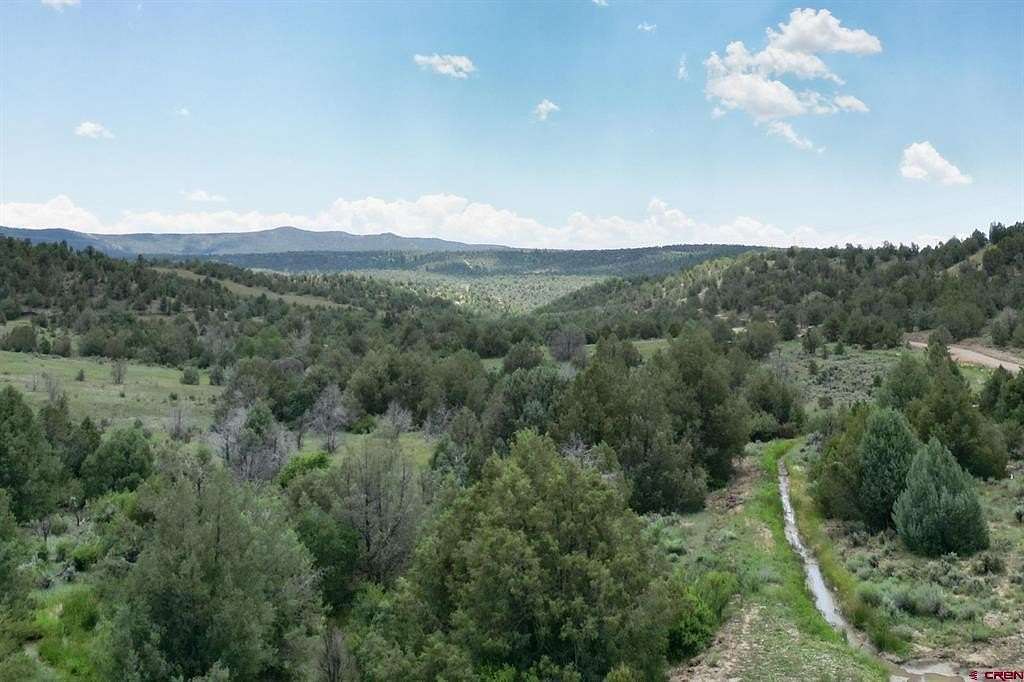 39.33 Acres of Agricultural Land for Sale in Durango, Colorado