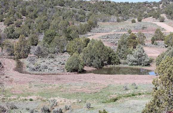 39.3 Acres of Agricultural Land for Sale in Durango, Colorado