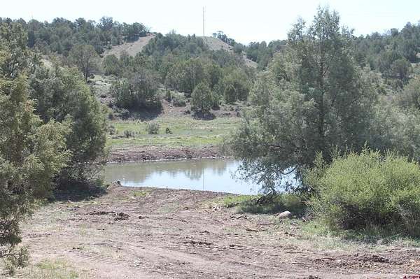 39.3 Acres of Land for Sale in Durango, Colorado
