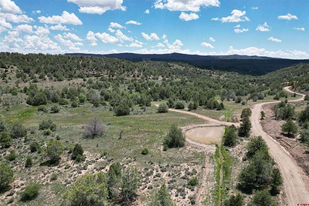 39.33 Acres of Agricultural Land for Sale in Durango, Colorado