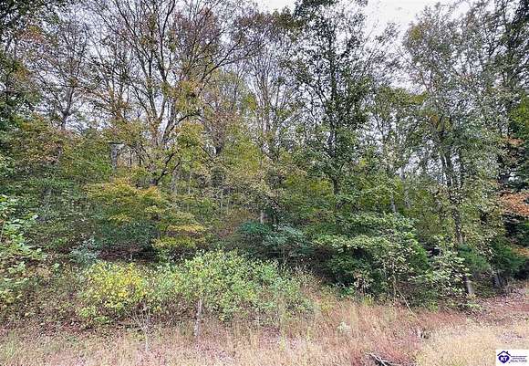 35 Acres of Recreational Land for Sale in Campbellsville, Kentucky
