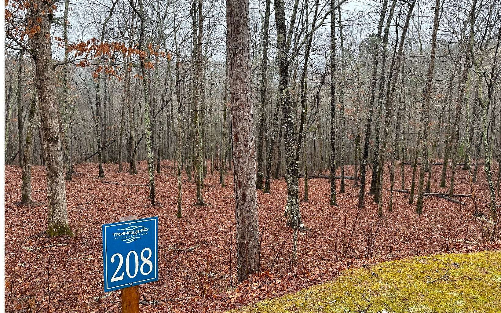 1.4 Acres of Land for Sale in Ellijay, Georgia