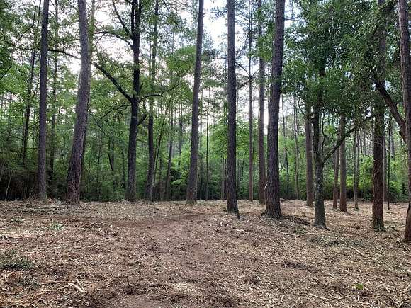 30 Acres of Recreational Land for Sale in Magnolia, Mississippi