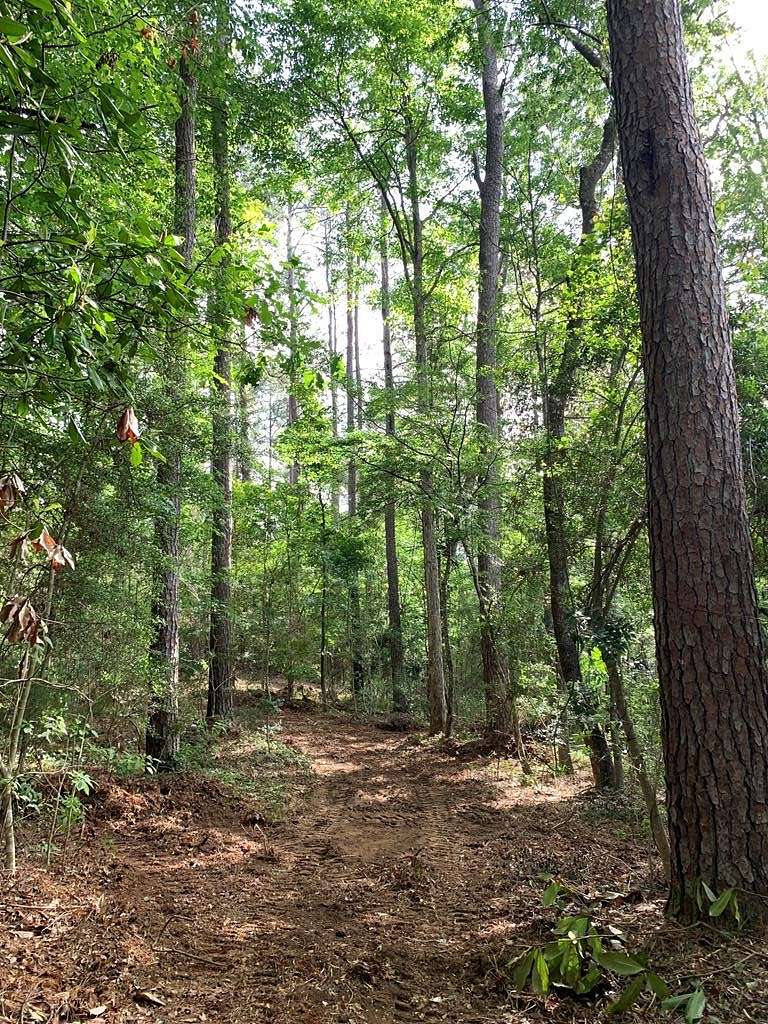 30 Acres of Recreational Land for Sale in Magnolia, Mississippi