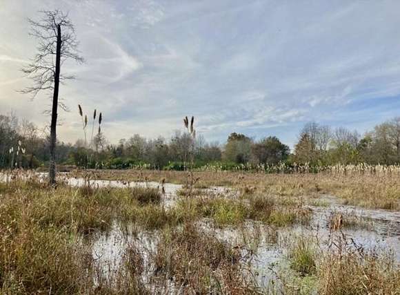 20.3 Acres of Land for Sale in Beech Island, South Carolina