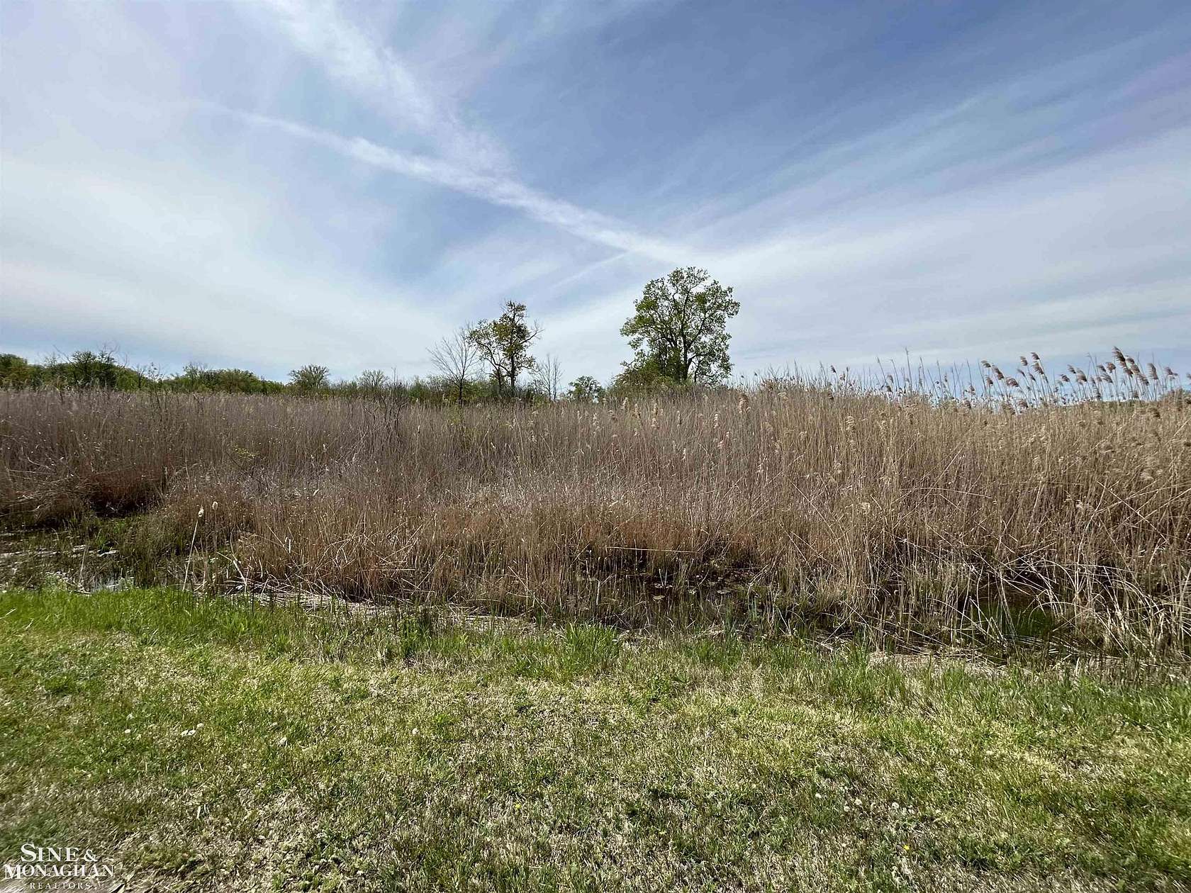 15 Acres of Land for Sale in Harsens Island, Michigan