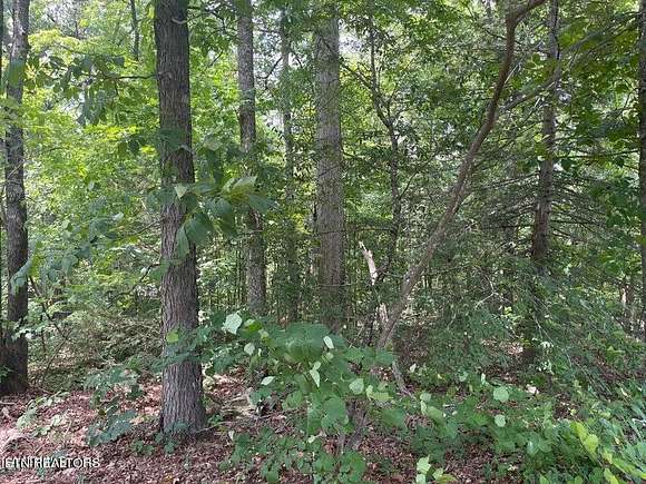 1.3 Acres of Residential Land for Sale in Sevierville, Tennessee