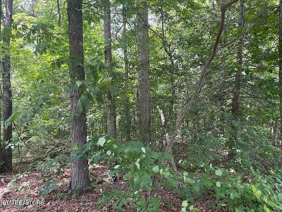 1.27 Acres of Residential Land for Sale in Sevierville, Tennessee