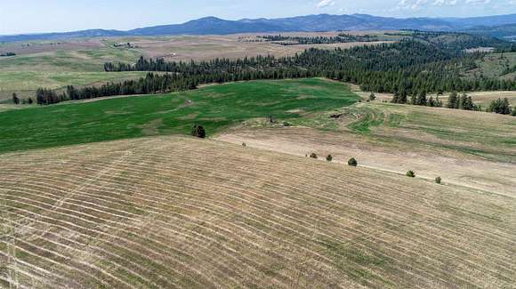 241 Acres of Agricultural Land for Sale in Davenport, Washington