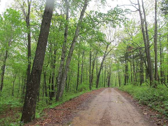 20 Acres of Recreational Land for Sale in Kingston, Arkansas