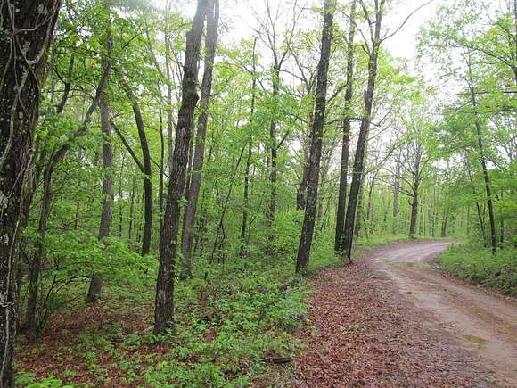 20 Acres of Recreational Land for Sale in Kingston, Arkansas - LandSearch