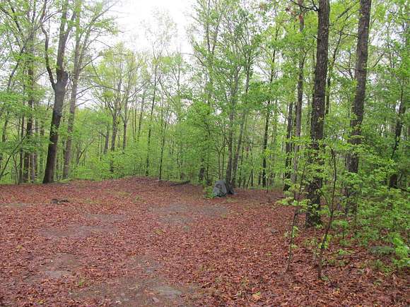 20 Acres of Recreational Land for Sale in Kingston, Arkansas - LandSearch